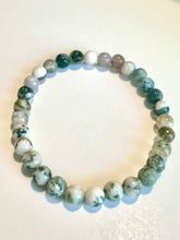 Load image into Gallery viewer, Tree Agate Beaded Bracelet for Growth, Stability, and Inner Peace