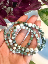 Load image into Gallery viewer, Tree Agate Beaded Bracelet for Growth, Stability, and Inner Peace